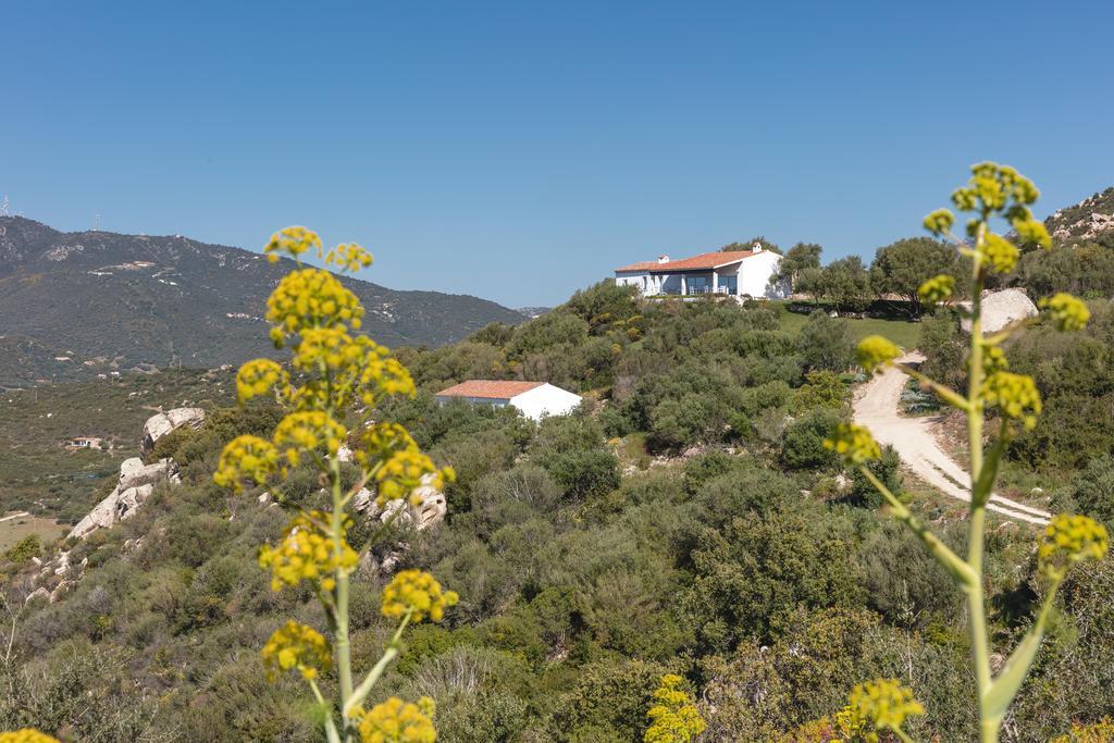 Agriturismo Cabu Abbas Villa Olbia Exterior foto